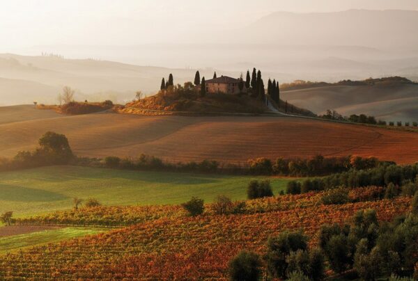 I Borghi del gusto               (Pienza - Moltepulciano) - immagine 23